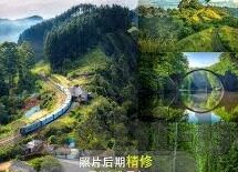 世界杯 中国电信-中国电信助力世界杯，连接全球球迷的激情