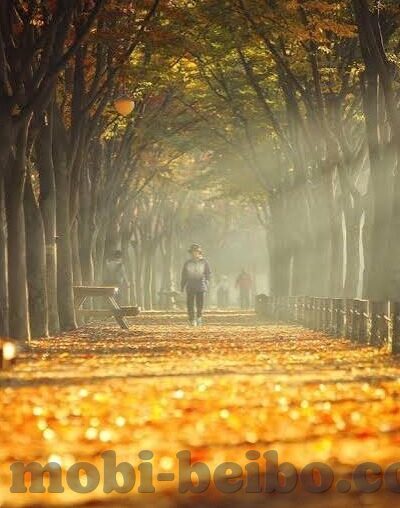 水果机游戏安卓-水果机游戏在安卓平台上的魅力与乐趣