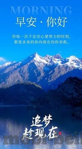 足球比分评价-足球比分，数据背后的激情与策略，一场无声的博弈
